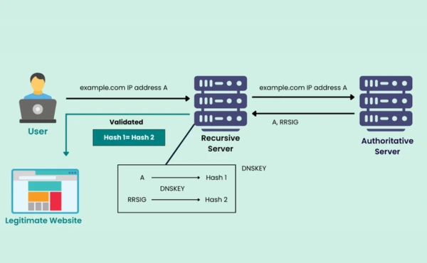 DNS Record Types and Term